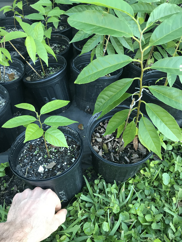 A1D15431-AEFB-4FC9-A29B-31052CB18080