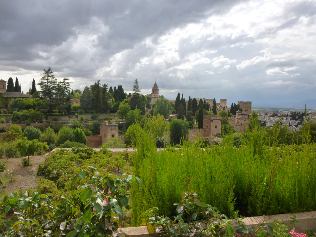View from the white building in the last picture over to the rest of the Alhambra complex. The brown towers of the buildings are interspersed by trees.