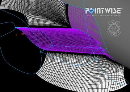 PointWise 18.4 R2 build 2020 10 16