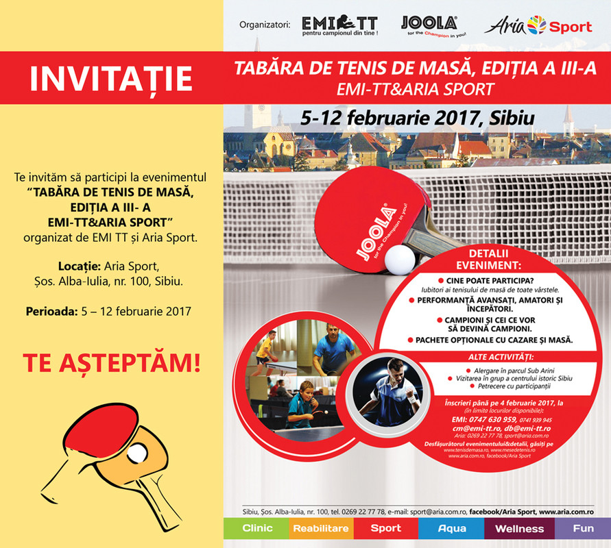 (ptE-mail)invitatieTDMtabaraFEB2017