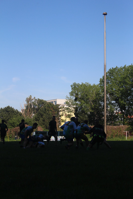 IMG-0537