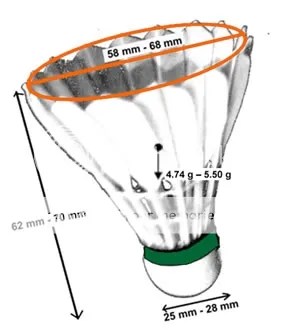 Trai-Cau-Long2.jpg