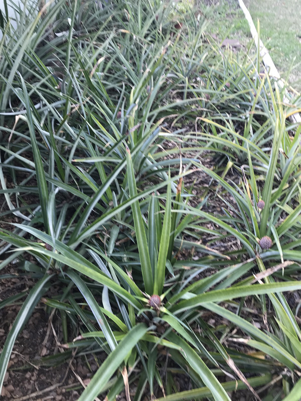 8D6C7D8A-14F0-4B69-BF0E-78A3AB1D392B