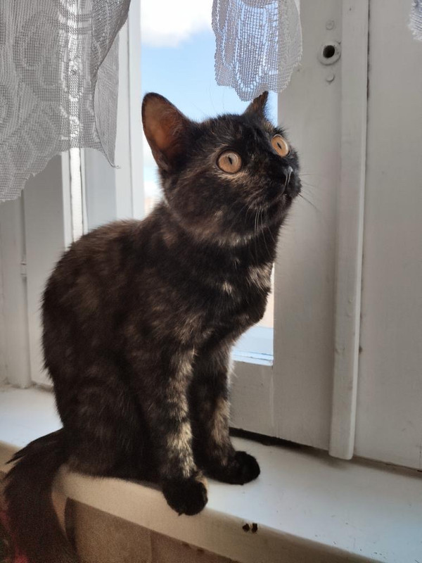 D22420AD-489E-44B0-AD8A-FD4BC87B52D2