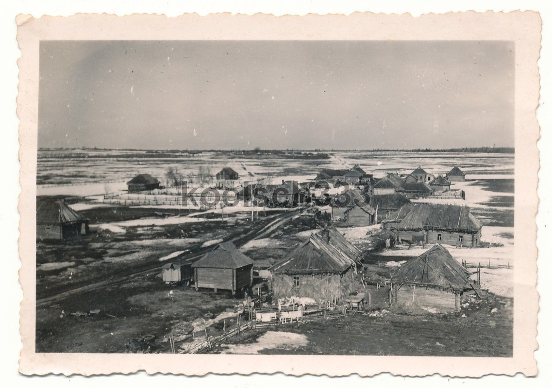 Foto Bauernhäuser Quartiere Buda II  268. ID Wehrmacht Ostfeldzu