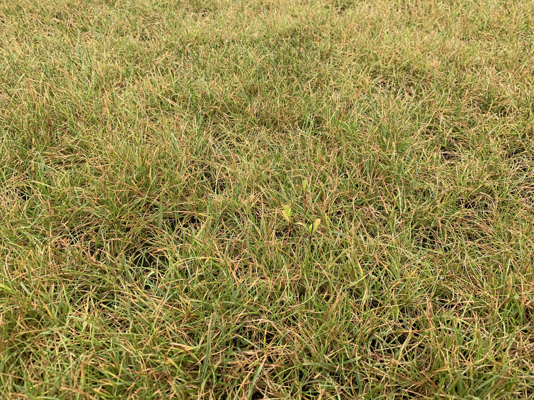 D3C2E0CA-ED47-4657-821E-C5175497FBD6