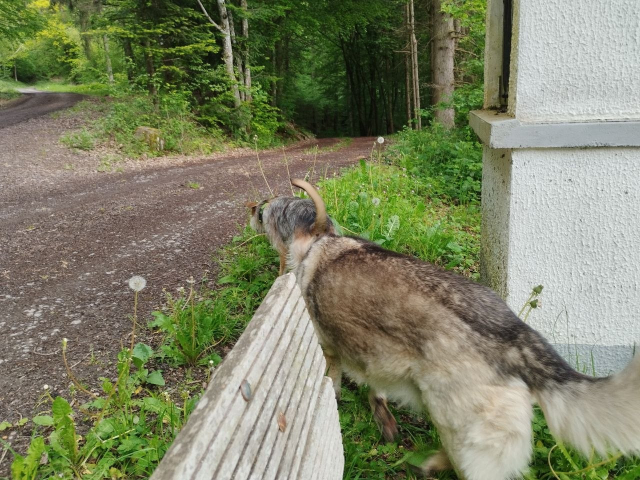 photo 2026 05 15 18 20 23