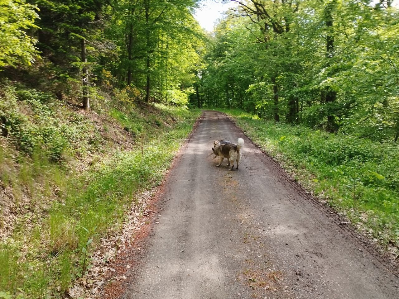 photo 2026 05 15 18 20 09