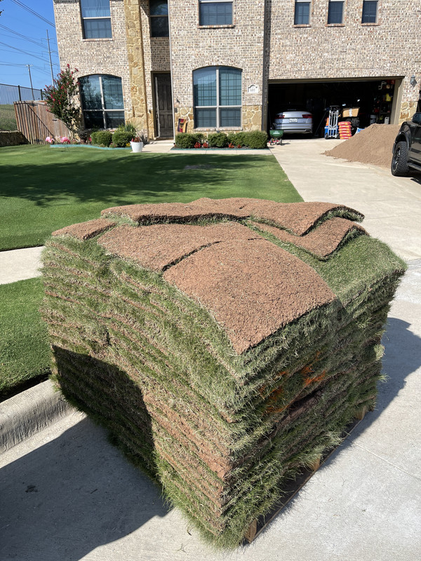 61C400D0-FAF5-42EF-8EC1-3B02D228062C