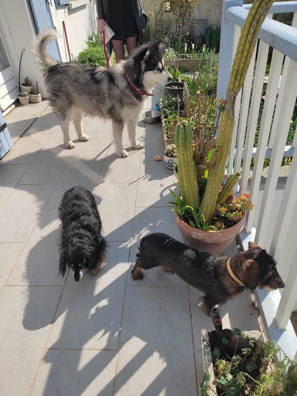 [Image: IMG-20220322-140912.jpg]