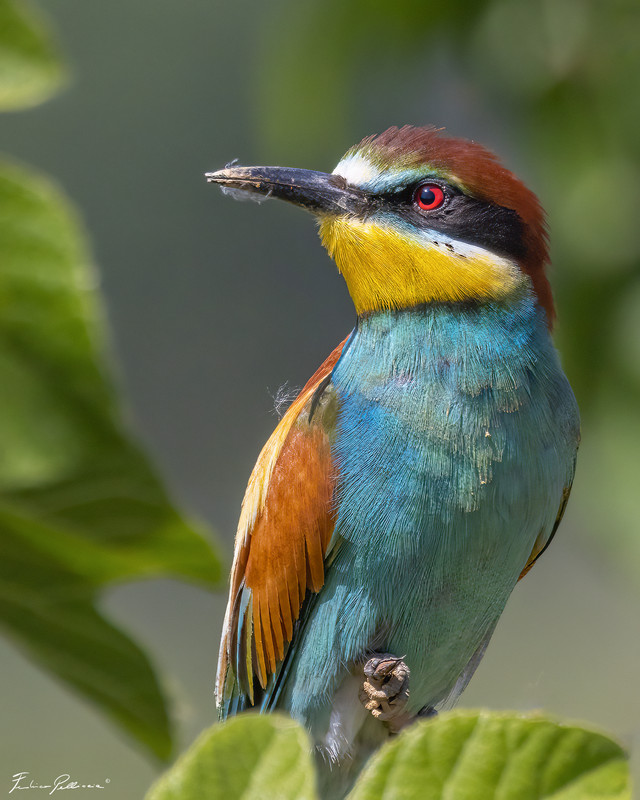 D6D62E91-5E03-4D56-A9B2-8A0034E2CFEA