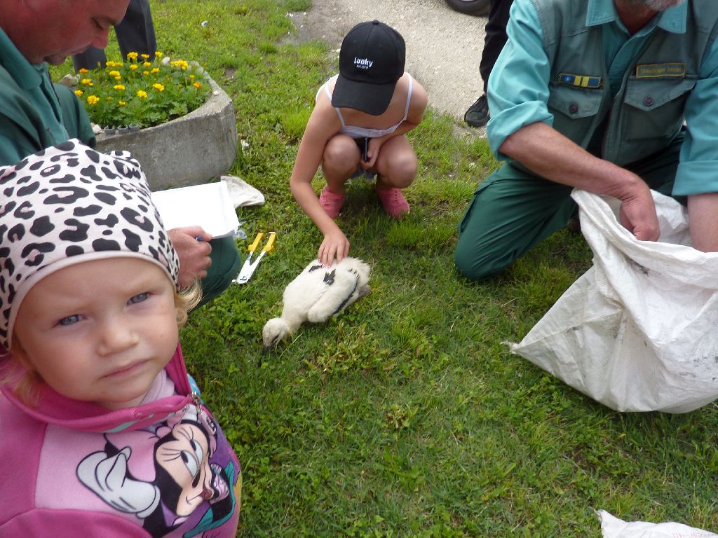 P1090896 lent van az első