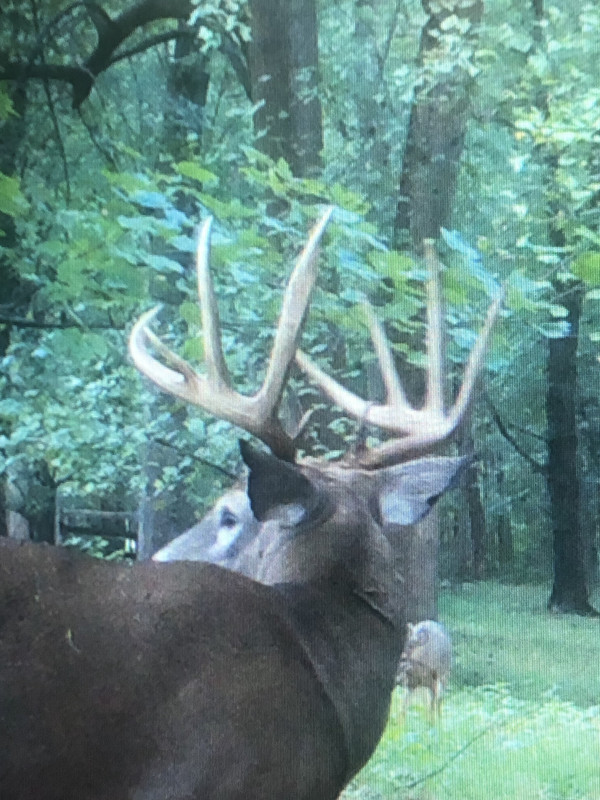 97DA612E-36C0-476F-BFDB-4104379C48CF