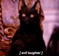 salem.gif