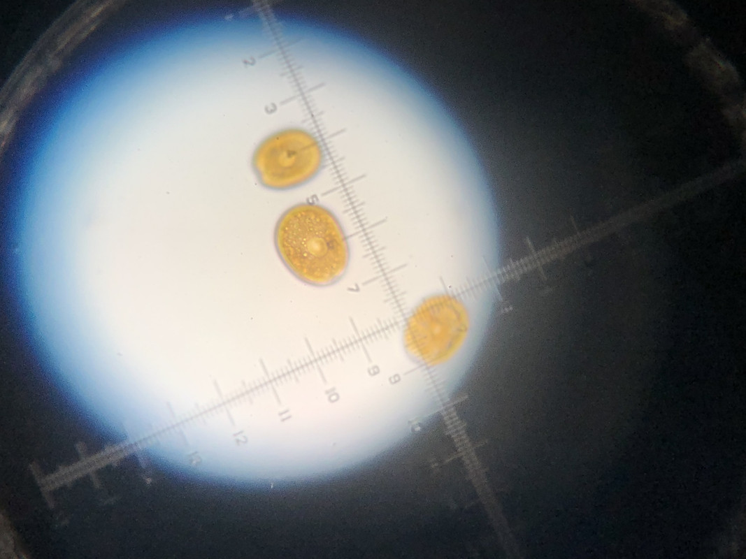 8F419FAB-A663-4DD5-94F9-3D515EA6C145