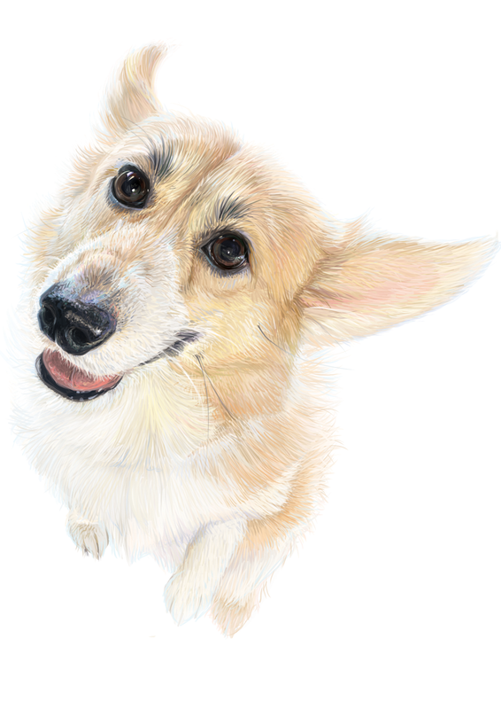 athena commission fin for screen