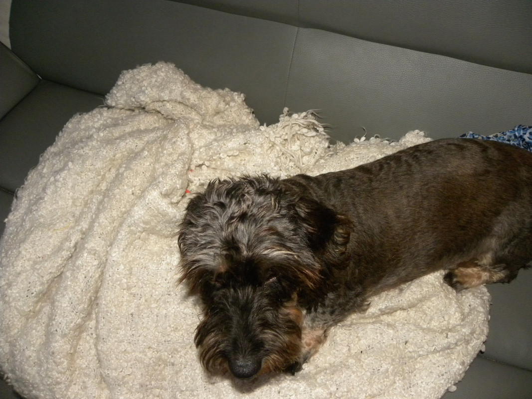 [Image: DSCN9594.jpg]