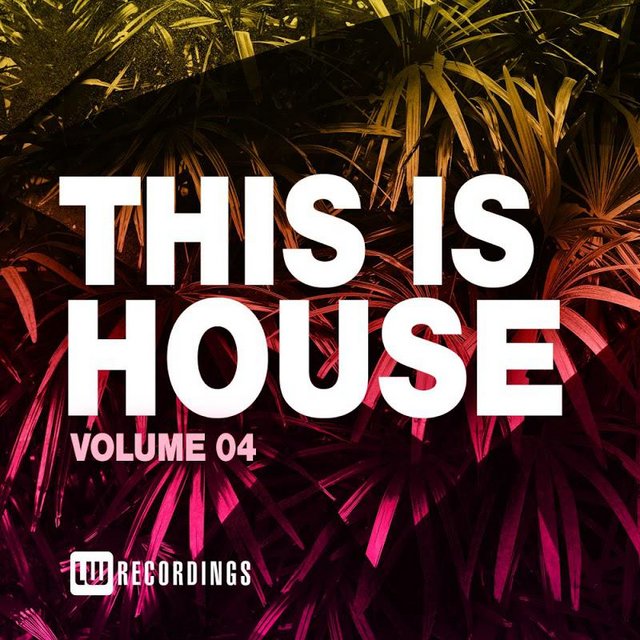 This Is House, Vol. 04 (2020) mp3 320 Kbps