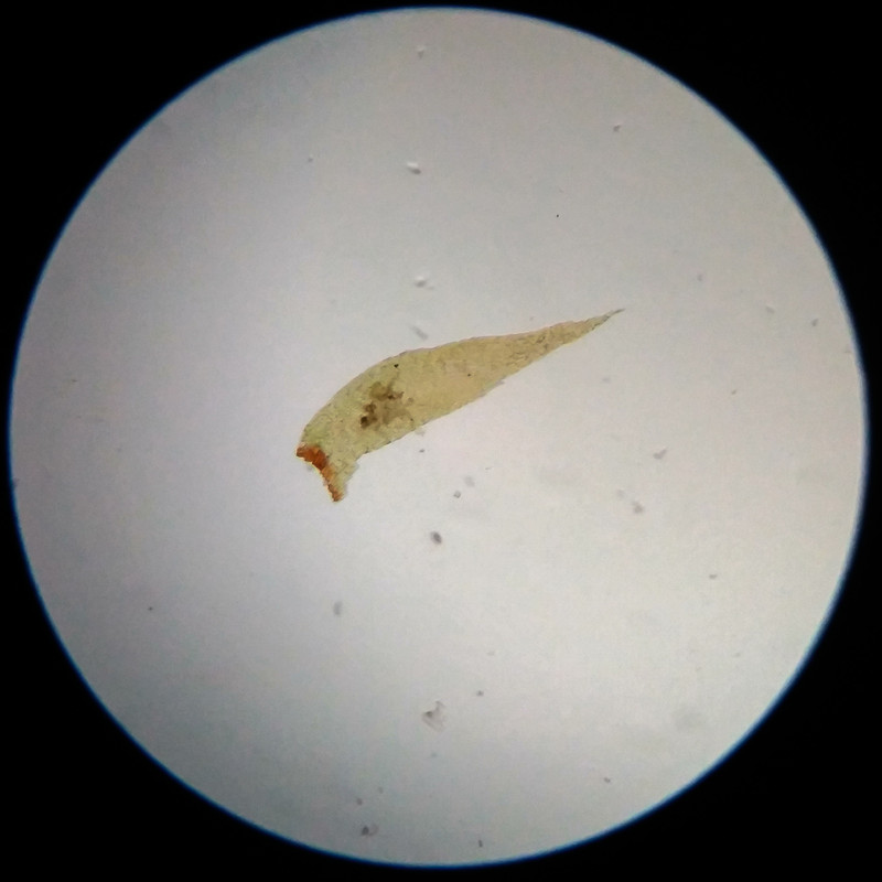 IMG 20250617 111712 HDR