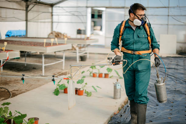 Perimeter Chemical Shielding