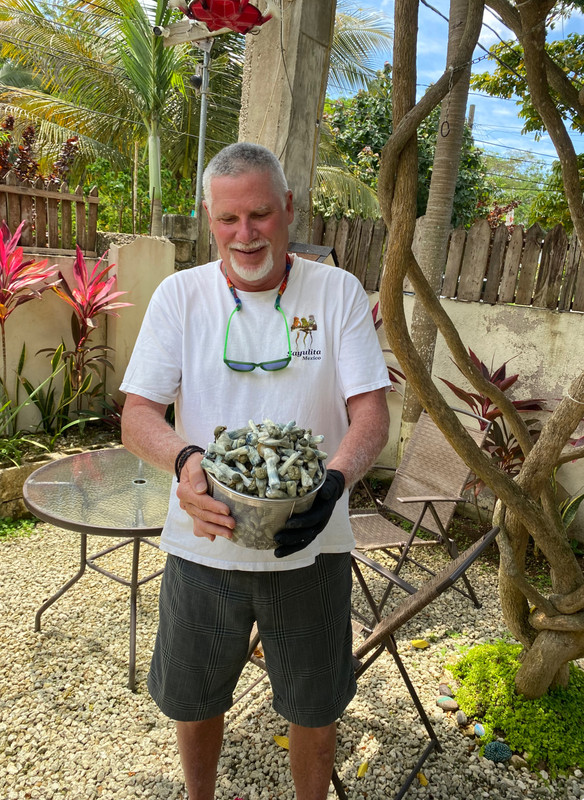 FA46F0DB-FBA9-464E-9FA7-C05488F4D555