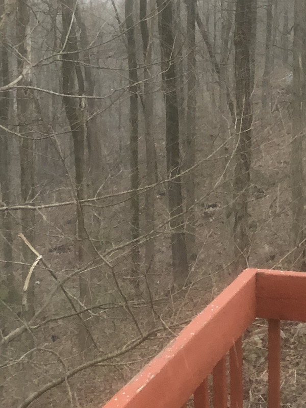 2D597316-A011-48EC-8038-BEE3B67A58E4