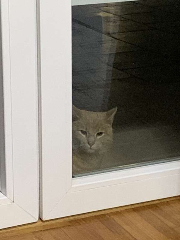 09073AFD-DD05-4AFF-818A-16803AA8C8FB