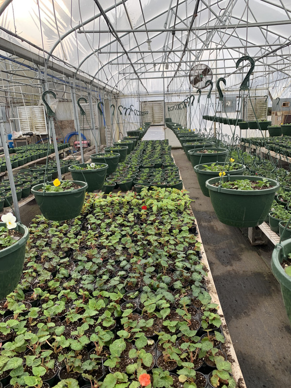 EE01B6FC-1B75-45C5-8028-4F288185A82C