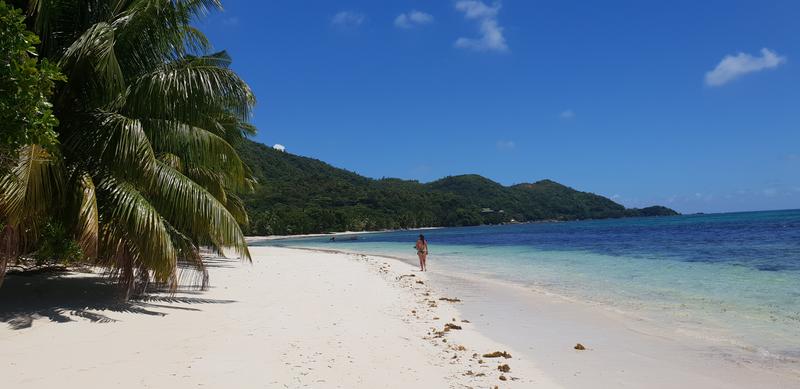 DÍA 4:  PRASLIN (sur) - Seychelles-2ª parte de nuestra luna de miel. Se puede pedir más? (8)