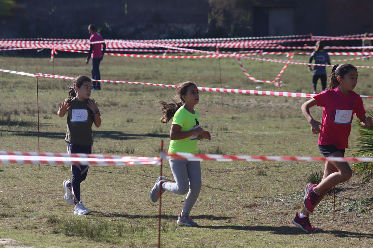 IMG-0510