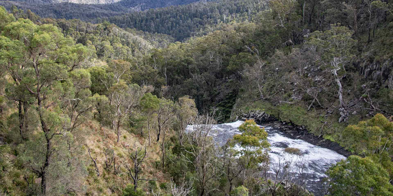 Guy Fawkes River near Ebor Falls