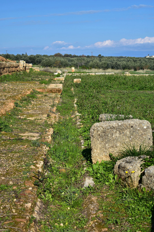 Αρχαία Σικυώνα (16)