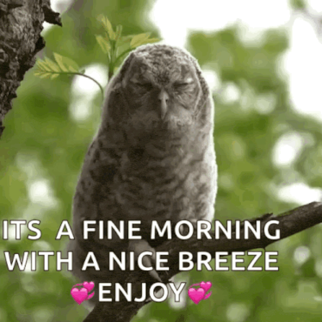 An den Beitrag angehängtes Bild: https://i.postimg.cc/nrxRj6y3/oie-24756526XYv-Qzj-O.gif