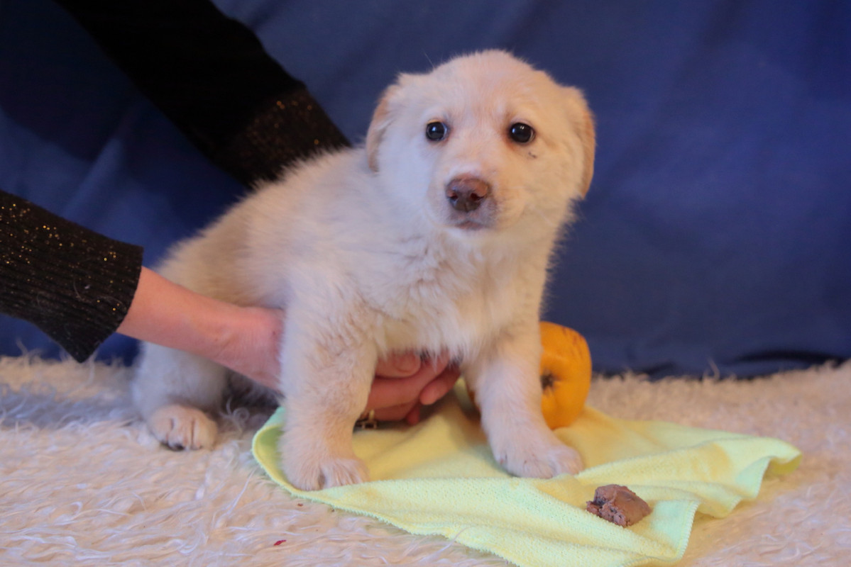 CBB97A28-F48D-4AC8-A0F1-BE8B1B379B0D