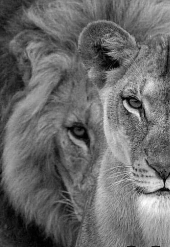 Screenshot_20240624_235231_Pinterest