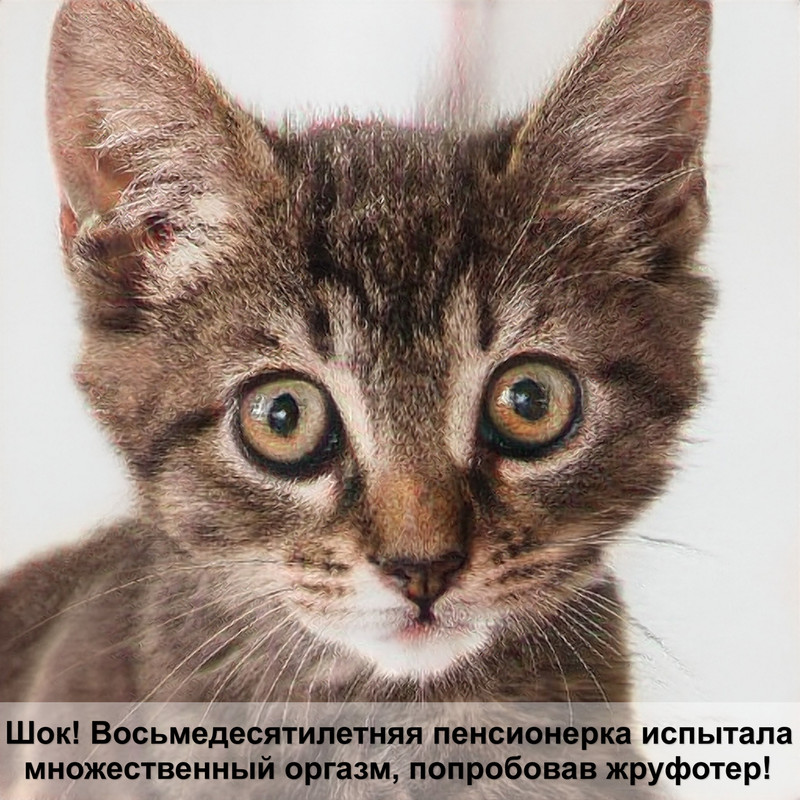 барс капли для кошек