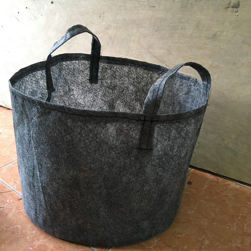 tủi vải xăm kim trồng cây