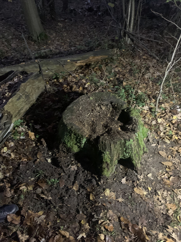 112285EB-9CB1-420A-BF06-57A69EC64809