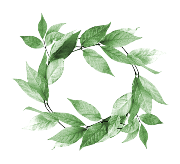 TADD_elements_LastDanceInParis (89)