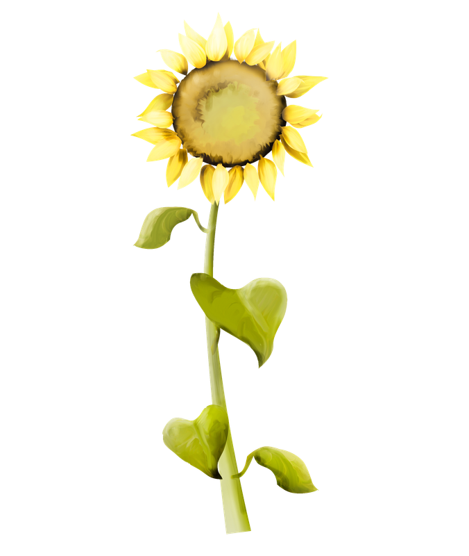emeto_summer playground_sunflower 2