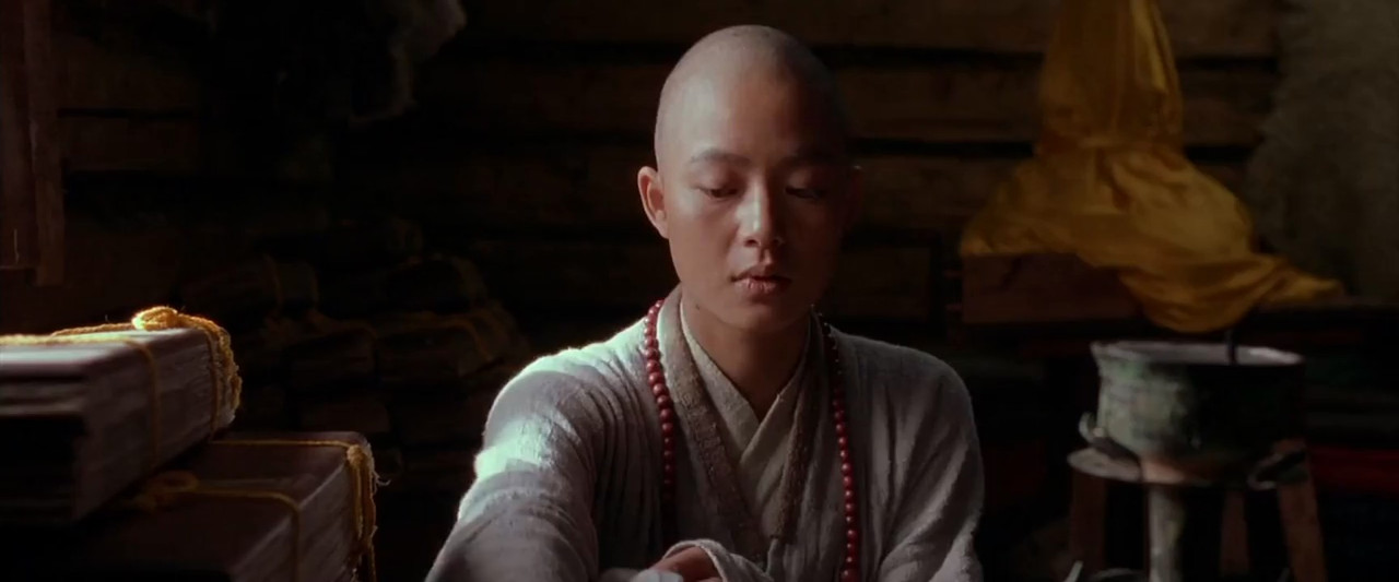 Warriors of Heaven and Earth 2003 BluRay [Hindi + Tamil + Chinese] 480p, 720p Screenshot