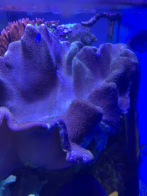 967AE432-5CAB-46EB-BCB3-A871637BDC00