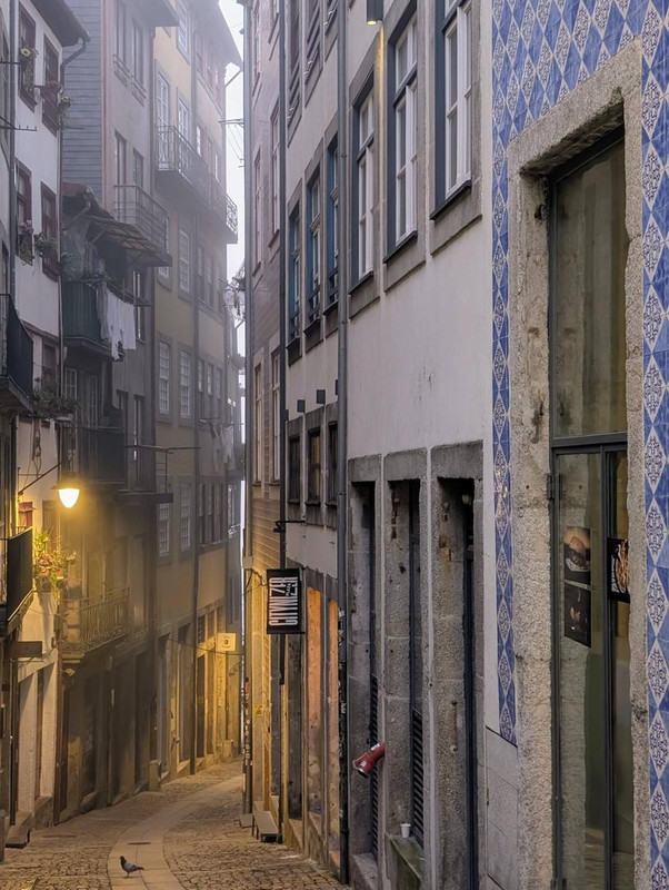 641553206 25574943732205256 2448156891997046968 n