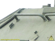 IMG-8299