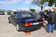 IMG-6562
