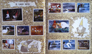 IMG-0009