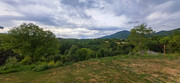 IMG-20230727-083803