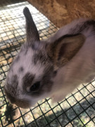 EC2402AC-58C2-4ED0-9934-87F38C553912