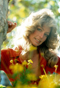 Farrah-Fawcett-mb50