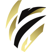 Official Logo Icon